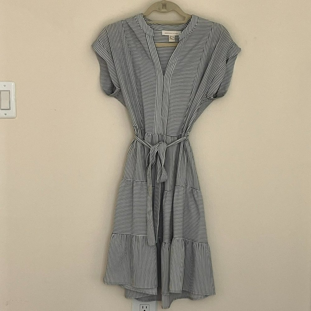 Monteau Large Blue Striped Dress